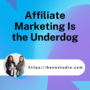 Affiliate Marketing Is the Underdog—Here’s How We Helped a D2C Brand Win with It