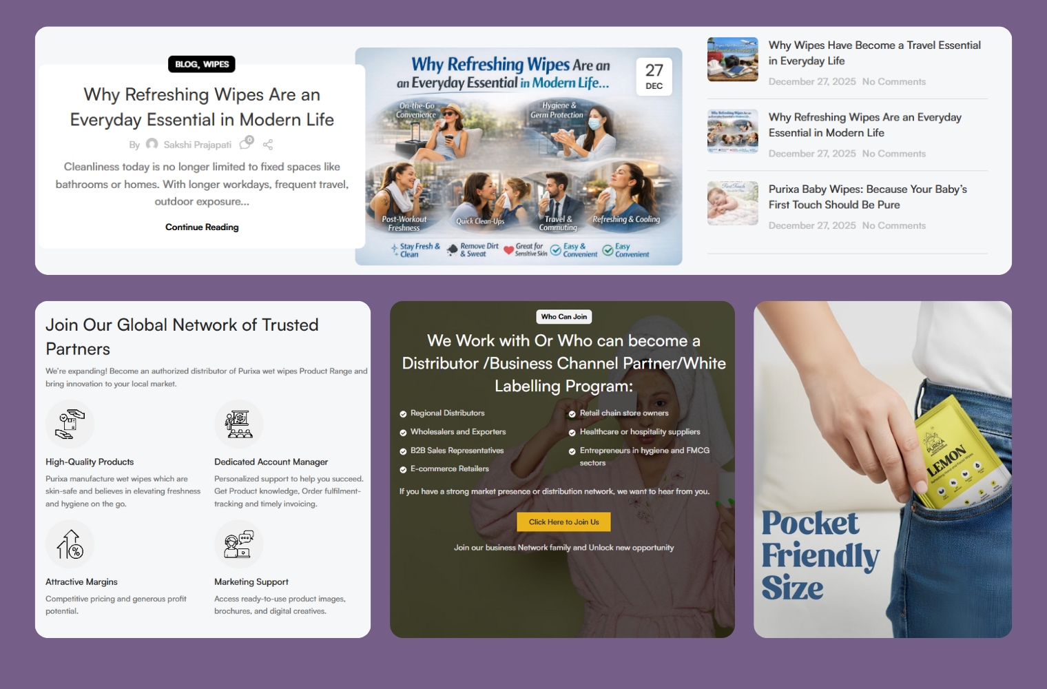 purixa website mockup