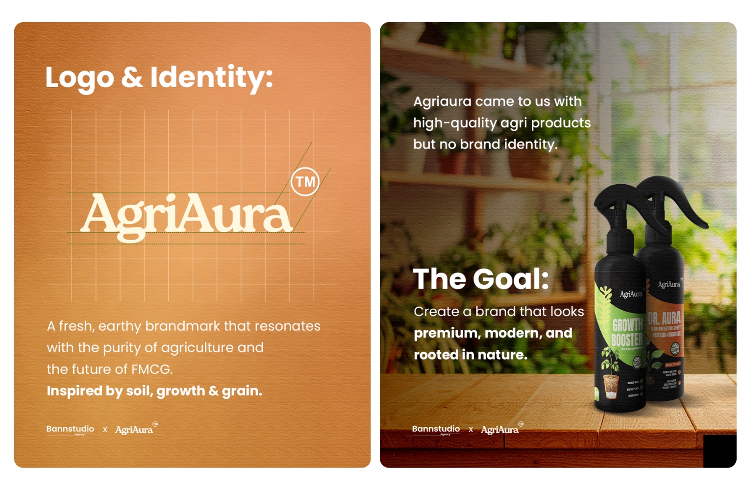 logo & identity - AgriAura